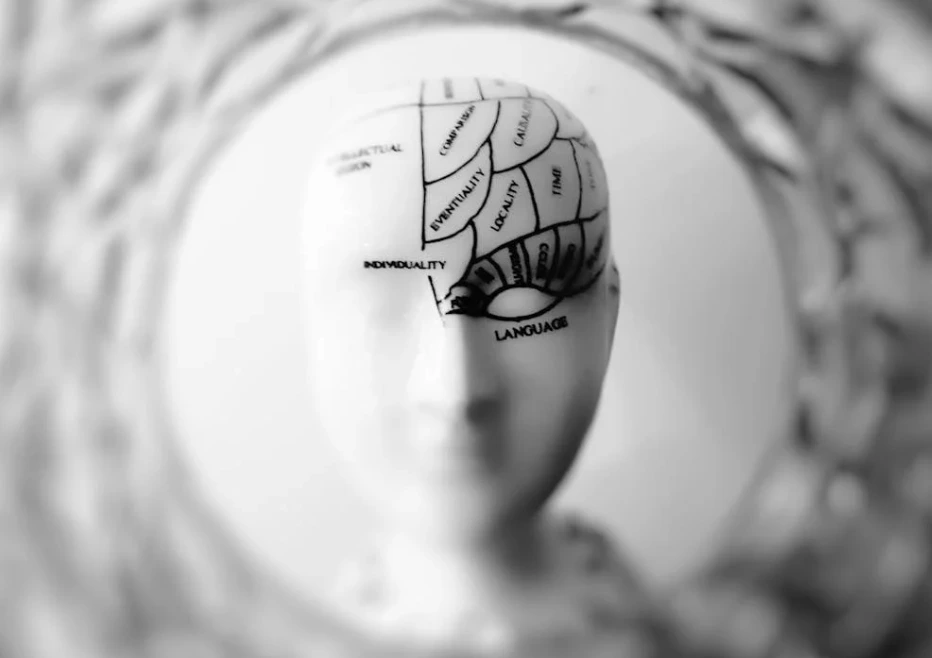 Brain duplicate techniques of AI